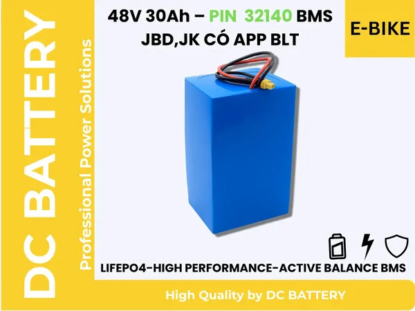 Pin xe điện 48V 30Ah
